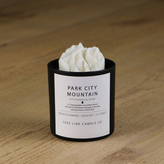 Park City Candle - BIG FRENCHIES