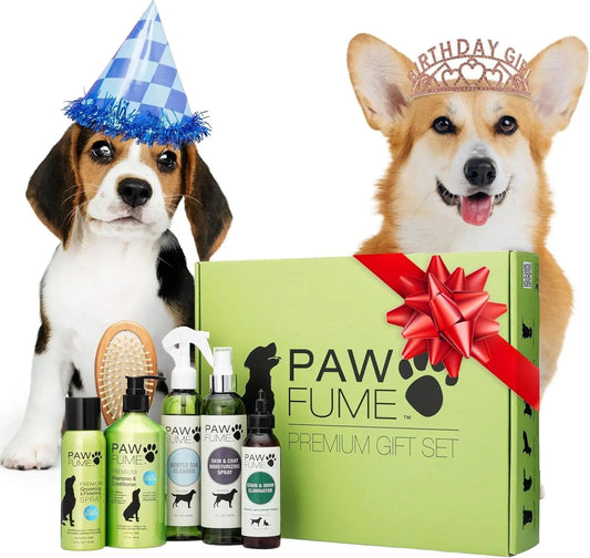 Pawfume Dog Spa Gift Basket 6-Piece Probiotic Deodorizer & Grooming Set - BIG FRENCHIES
