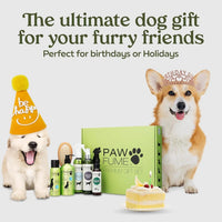 Pawfume Dog Spa Gift Basket 6-Piece Probiotic Deodorizer & Grooming Set - BIG FRENCHIES