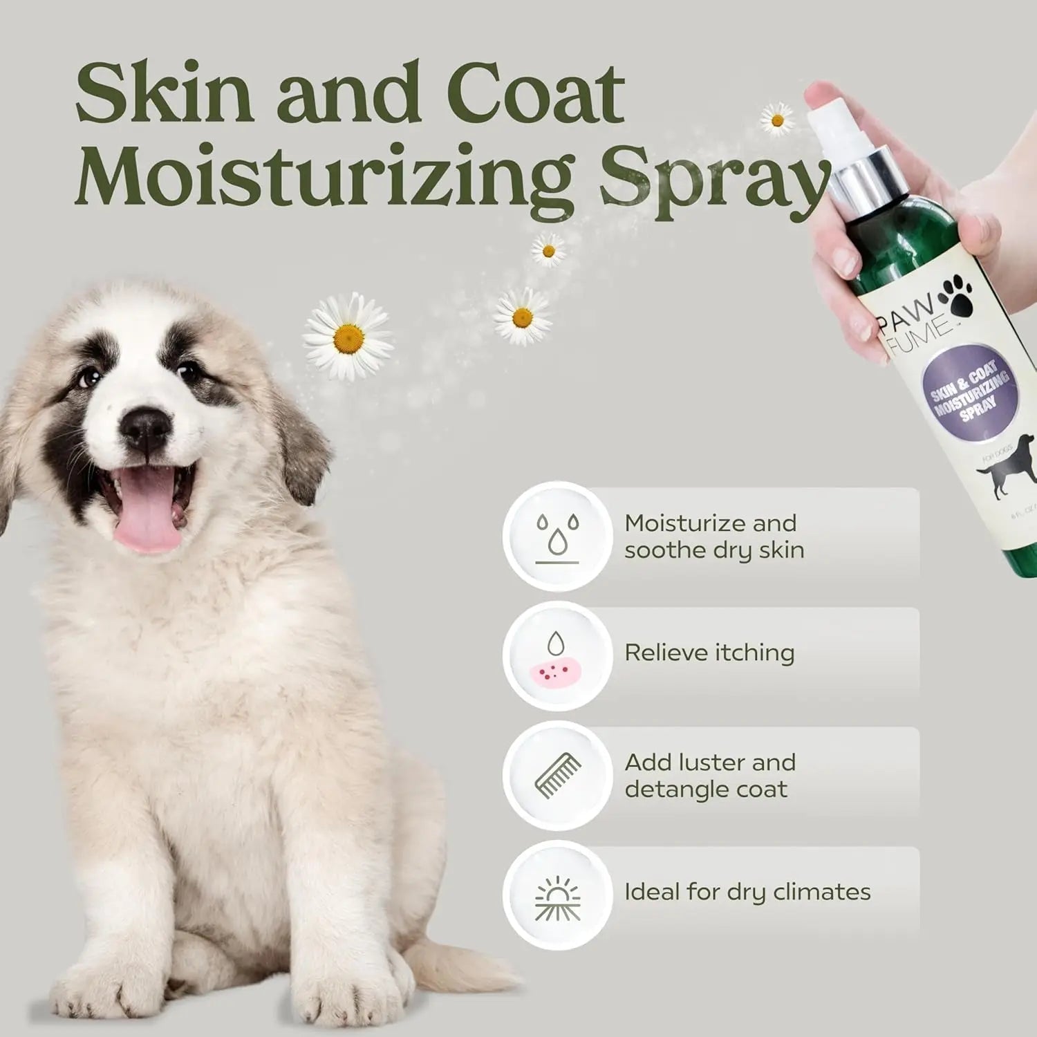 Pawfume Dog Spa Gift Basket 6-Piece Probiotic Deodorizer & Grooming Set - BIG FRENCHIES