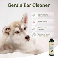 Pawfume Dog Spa Gift Basket 6-Piece Probiotic Deodorizer & Grooming Set - BIG FRENCHIES