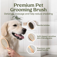 Pawfume Dog Spa Gift Basket 6-Piece Probiotic Deodorizer & Grooming Set - BIG FRENCHIES