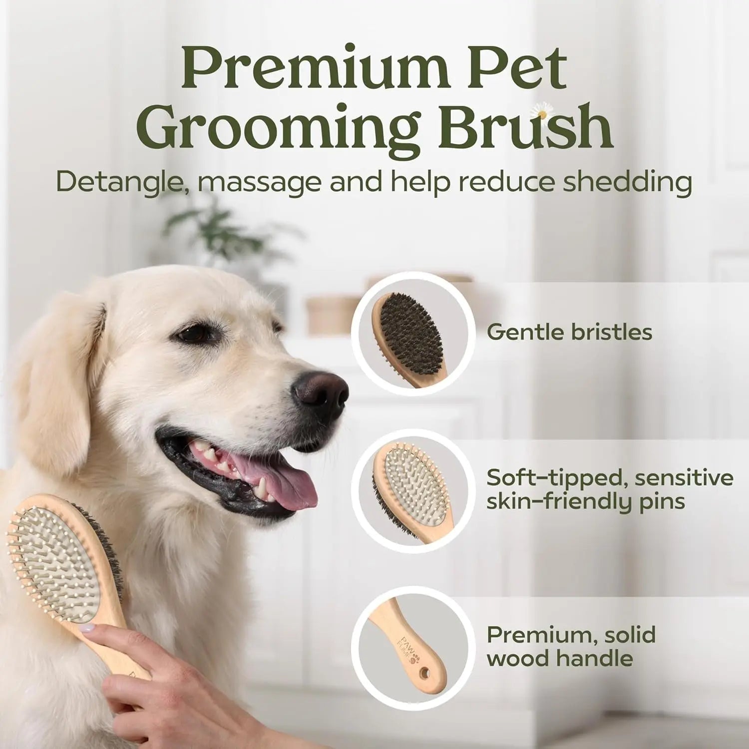 Pawfume Dog Spa Gift Basket 6-Piece Probiotic Deodorizer & Grooming Set - BIG FRENCHIES
