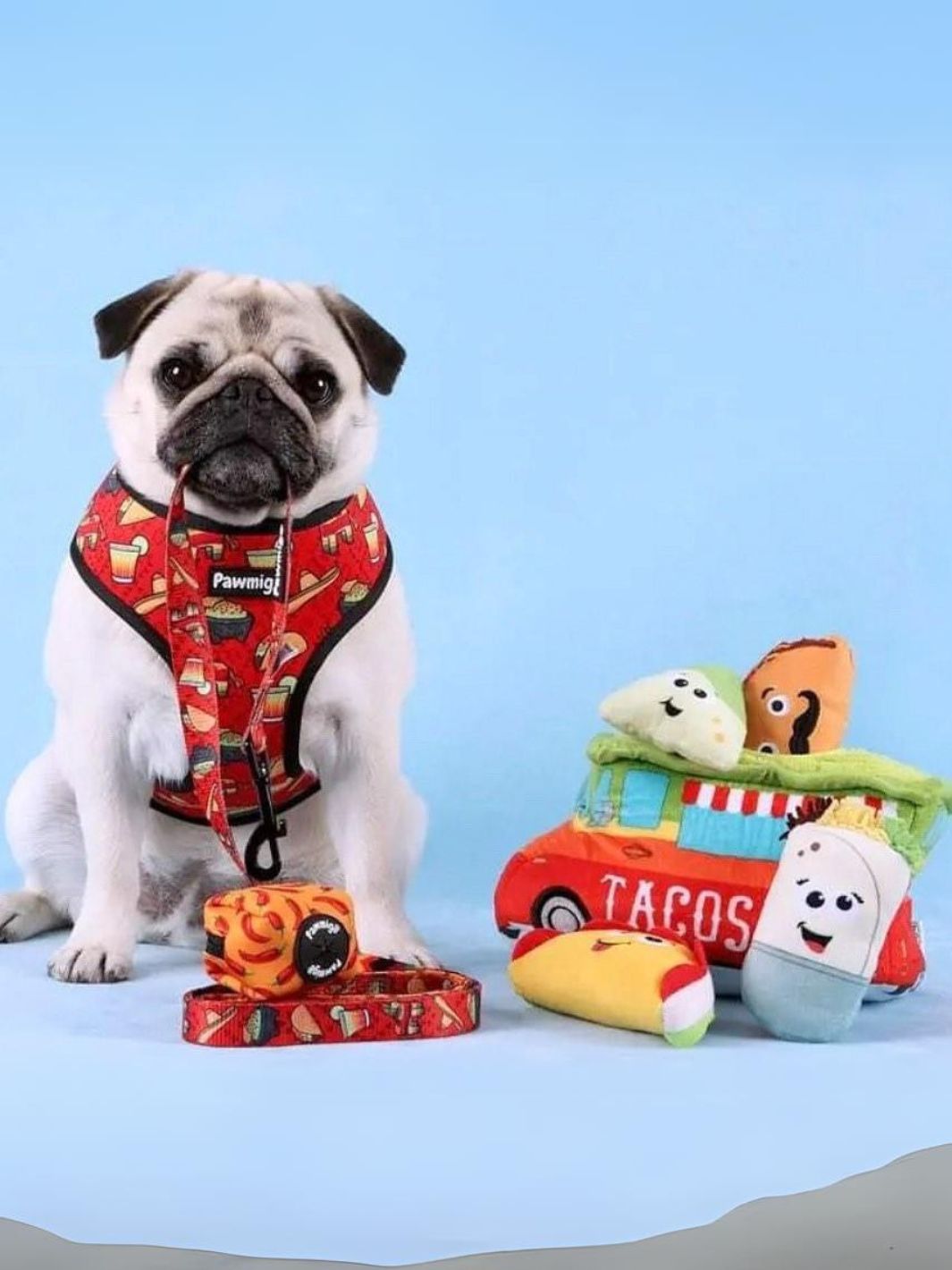 Taco Tuesday Leash Kit-Leash Kit-BIG FRENCHIES-Pawmigo