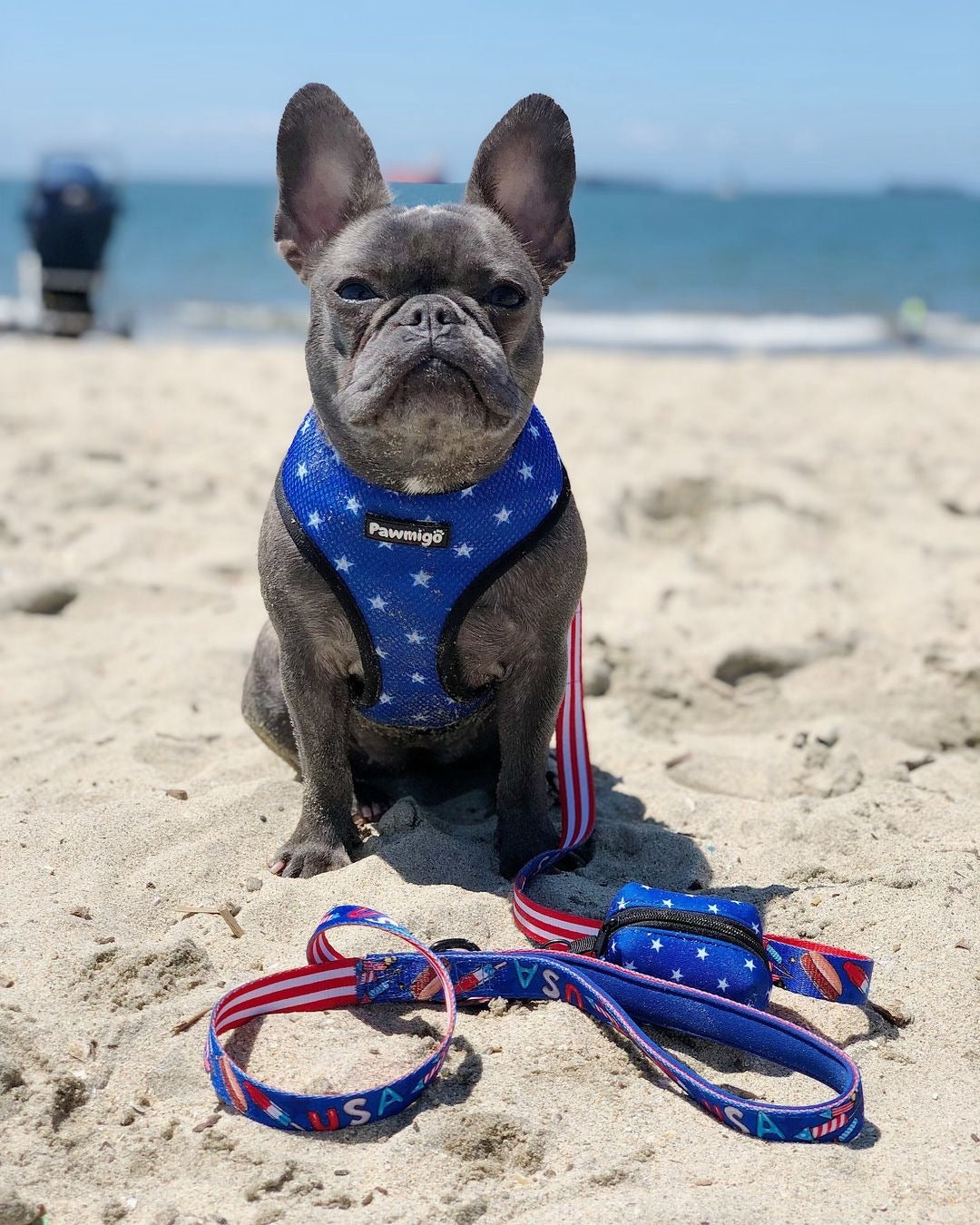 Red, White & Bark Leash Kit-Leash Kit-BIG FRENCHIES-Pawmigo