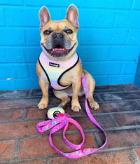 Slumber Pawty Reversible Harness