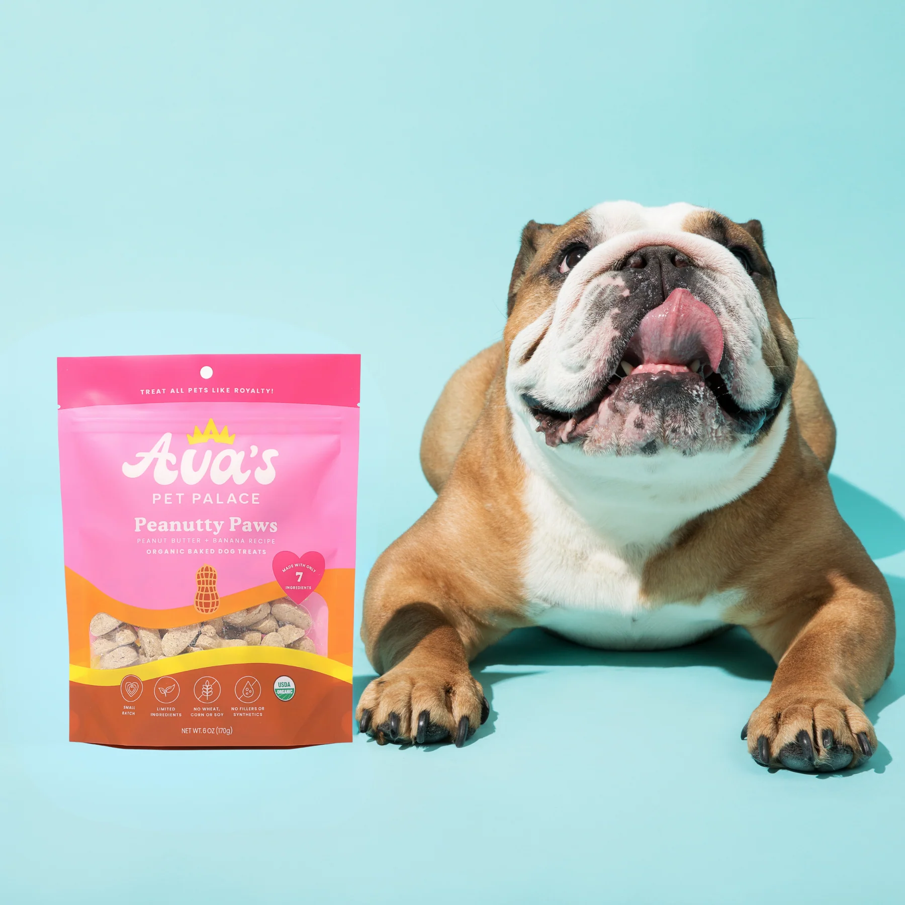 Ava's Pet Palace Organic Oven Baked Dog Treats - Peanutty Paws (6 oz) / 2-Pack - BIG FRENCHIES