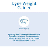 Pet-Ag Dyne High Nutritional Supplement for Livestock Gallon