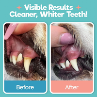 Pet Dental Wipes Dog Cat Teeth Cleaning Plaque Tartar Breath Freshener 55Ct