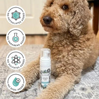 Pet Dry Shampoo No Rinse Foam Deodorizing Plant Based Dog Cat Odor