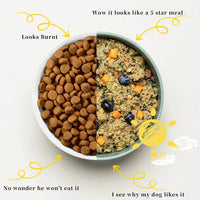 Pet Fresh Food Maker 5 in 1 Dog Cat Food Cooker Chopper 2.5L Smart Maker