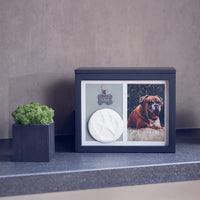 Pet Memorial Urn Keepsake Box with Photo Frame, Paw Print Kit & Photo Album
