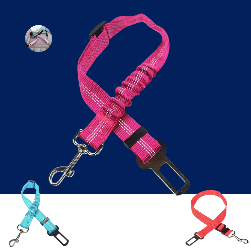 Pet Car Seat Belt Harness – Adjustable Safety Clip for Dogs & Cats - BIG FRENCHIES