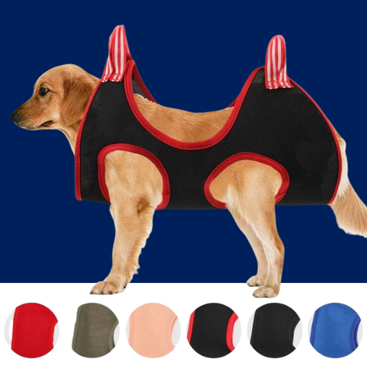 Pet Grooming Hammock for Dogs and Cats - BIG FRENCHIES
