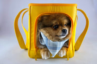 Sunburst Yellow Pet Travel carrier - BIG FRENCHIES