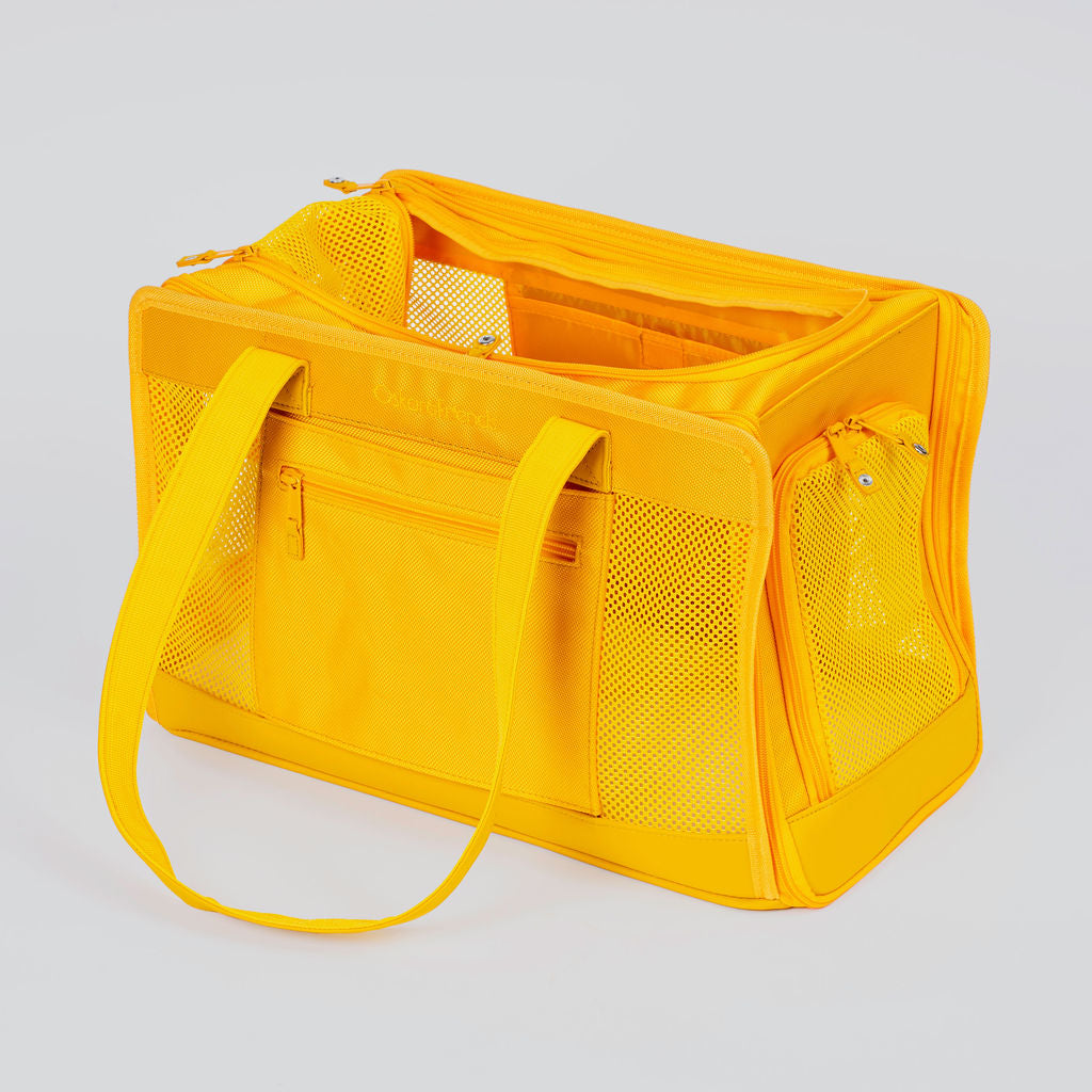 Sunburst Yellow Pet Travel carrier - BIG FRENCHIES
