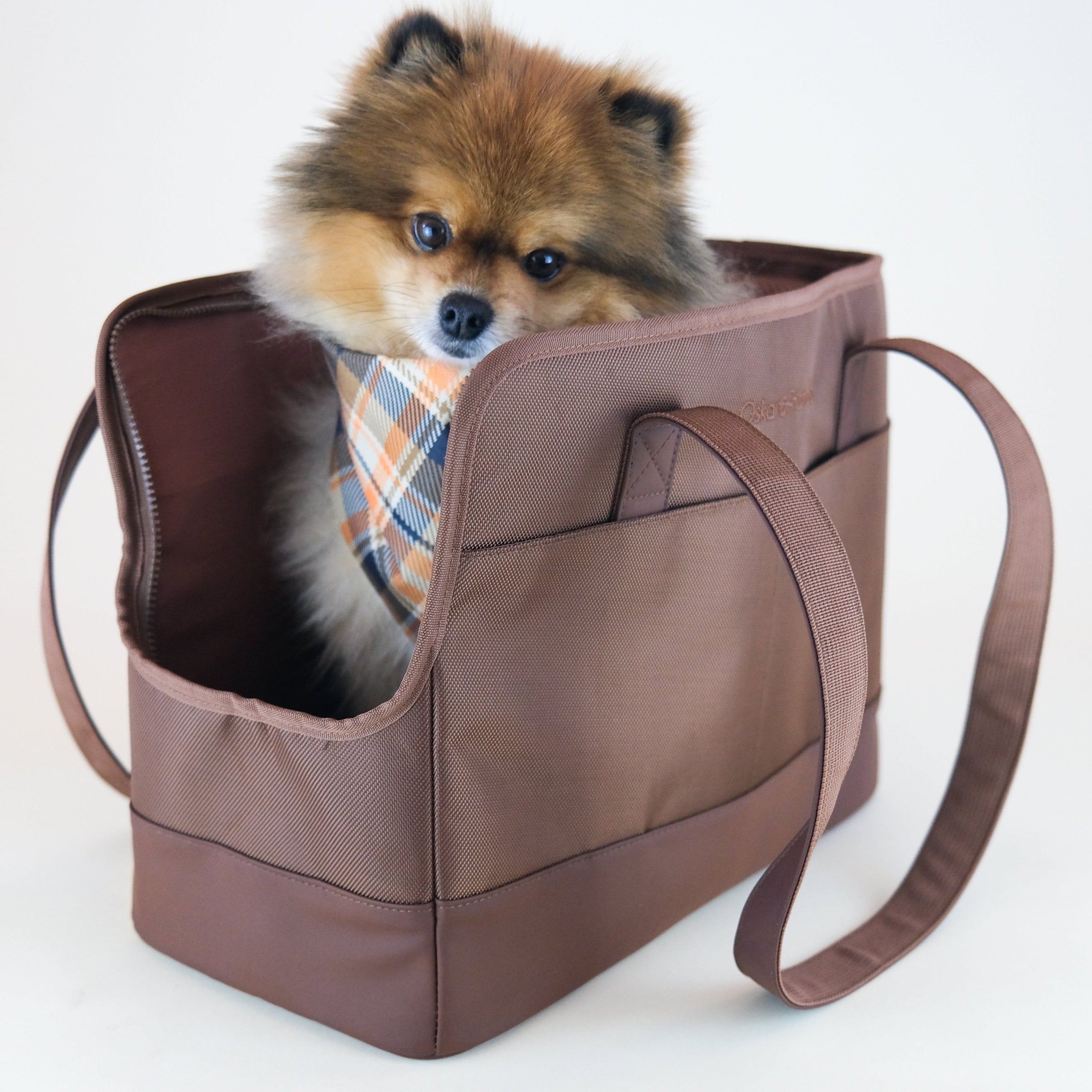 Chocolate Brown Pet Tote Bag - BIG FRENCHIES