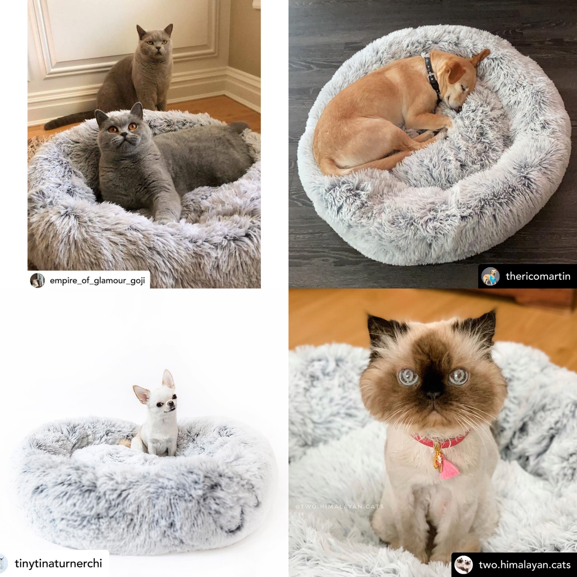 Mr. Peanut's 28" OrthoPlush® Pet Bed - Snowflake White Two Tone - BIG FRENCHIES