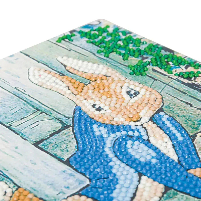 Peter Rabbit Under the Gate Crystal Art Card Kit Craft Buddy – BIG ...