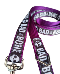 Bad To The Bone Purple Nylon Dog Collar MD, LG, XL, Leash