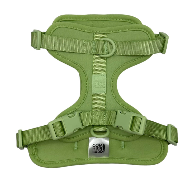 Harness-Pet Collars & Harnesses-BIG FRENCHIES-Come Here Buddy