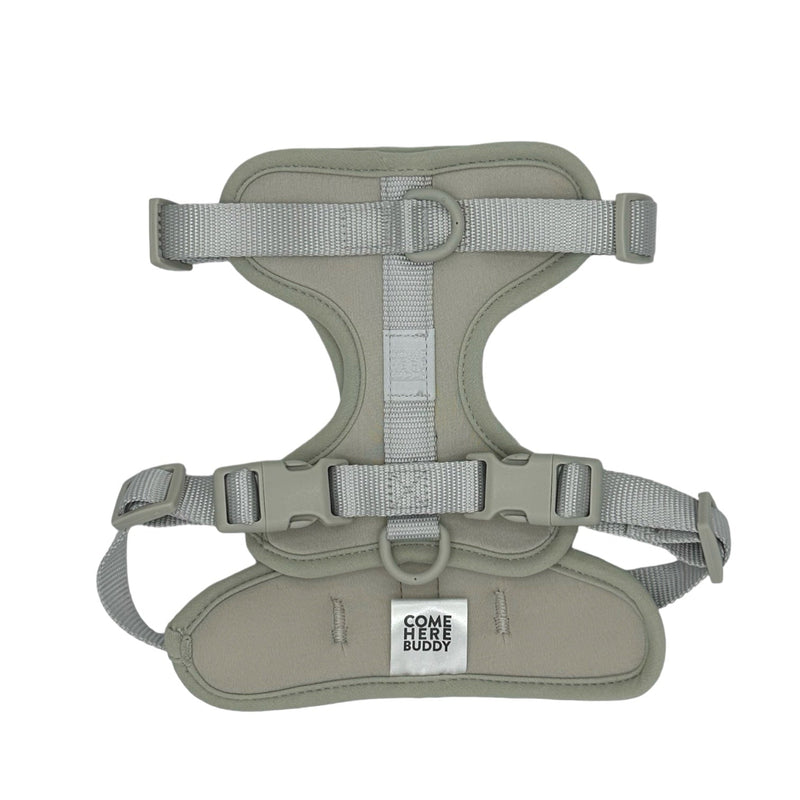 Harness-Pet Collars & Harnesses-BIG FRENCHIES-Come Here Buddy