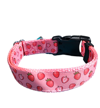 Strawberry Slice Pink Nylon Dog Collar MD, LG, XL, Leash