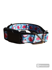 Fishing Bobbers Nylon Dog Collar