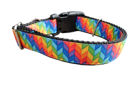 Rainbow Rays Nylon Dog Collar