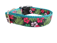Tropical Flowers Nylon Dog Collar