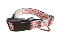 Peach Nylon Dog Collar