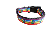 Rainbow Pride Paws Nylon Dog Collar