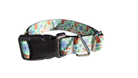 Monarch Butterfly Nylon Dog Collar