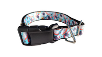 Sushi Roll Nylon Dog Collar