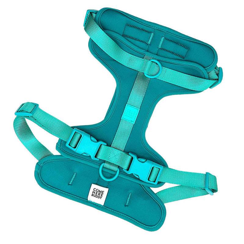 Harness-Pet Collars & Harnesses-BIG FRENCHIES-Come Here Buddy
