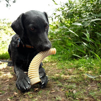 Flufflehorn Dental Antler - Indestructible Nylon Dog Chew Toy XL | USA Made - BIG FRENCHIES
