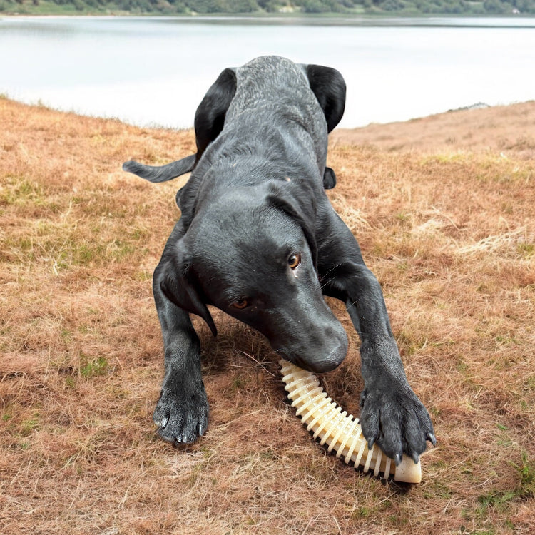 Flufflehorn Dental Antler - Indestructible Nylon Dog Chew Toy XL | USA Made - BIG FRENCHIES