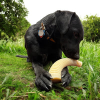 Flufflehorn Dental Antler - Indestructible Nylon Dog Chew Toy XL | USA Made - BIG FRENCHIES