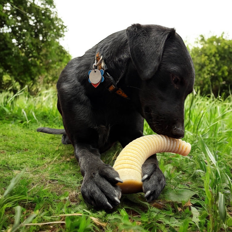 Flufflehorn Dental Antler - Indestructible Nylon Dog Chew Toy XL | USA Made - BIG FRENCHIES
