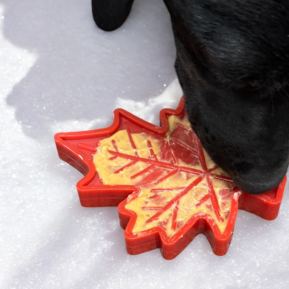 Canadian Maple Leaf Nylon Dog Chew Toy - Indestructible & USA Made - BIG FRENCHIES