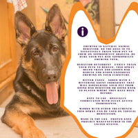 PiccardNaturePets Stop Now! No Chewing Pet Training Spray 8 oz.