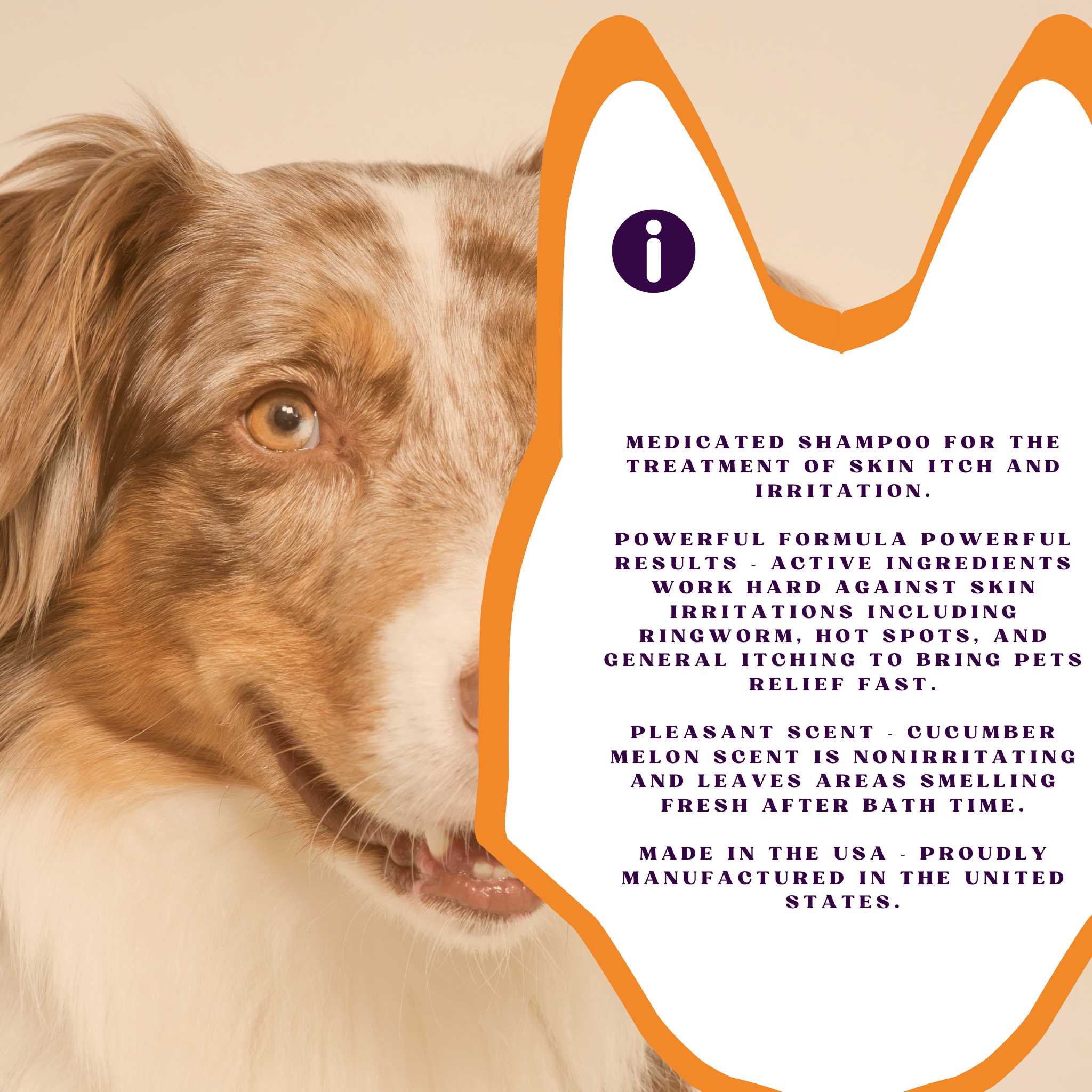 Piccardmeds4pets Keto-Itch Relief Medicated Shampoo Pet Dog 16 oz. + FREE Bandana!