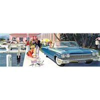 Picture Perfect 1000 Piece Panoramic Jigsaw Puzzle NYPC