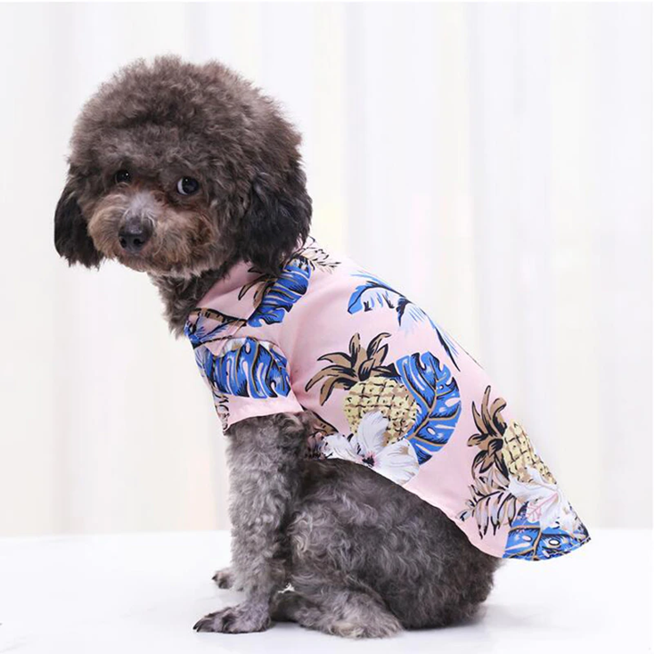 Hawaiian Pet Shirts - BIG FRENCHIES