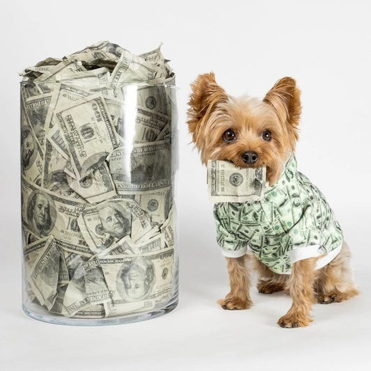 Money Print Dog Hoodie - BIG FRENCHIES