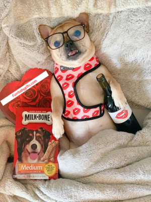 Luxury Red Lips Breathable Mesh Harness Chest Back + Traction - BIG FRENCHIES