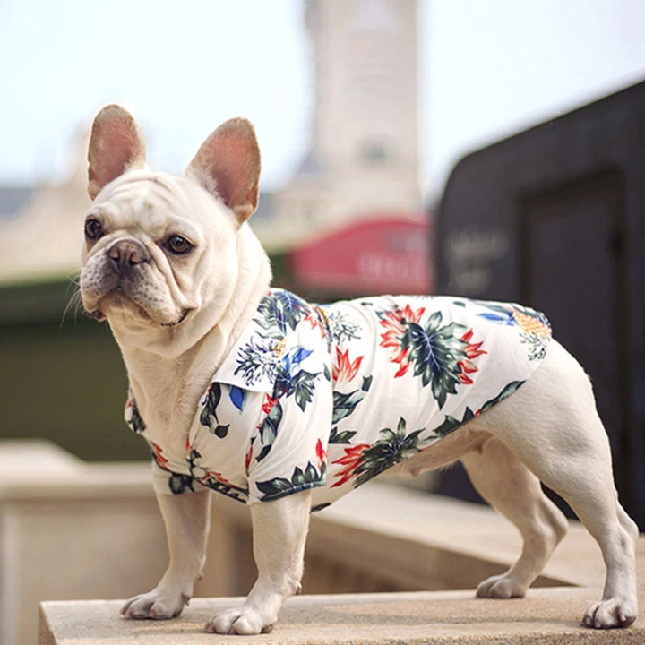 Hawaiian Pet Shirts - BIG FRENCHIES