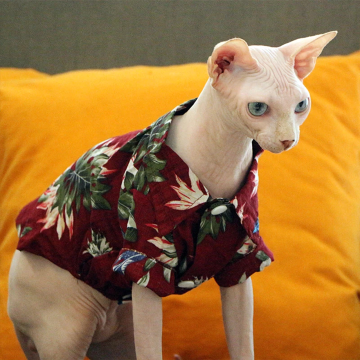 Hawaiian Pet Shirts - BIG FRENCHIES
