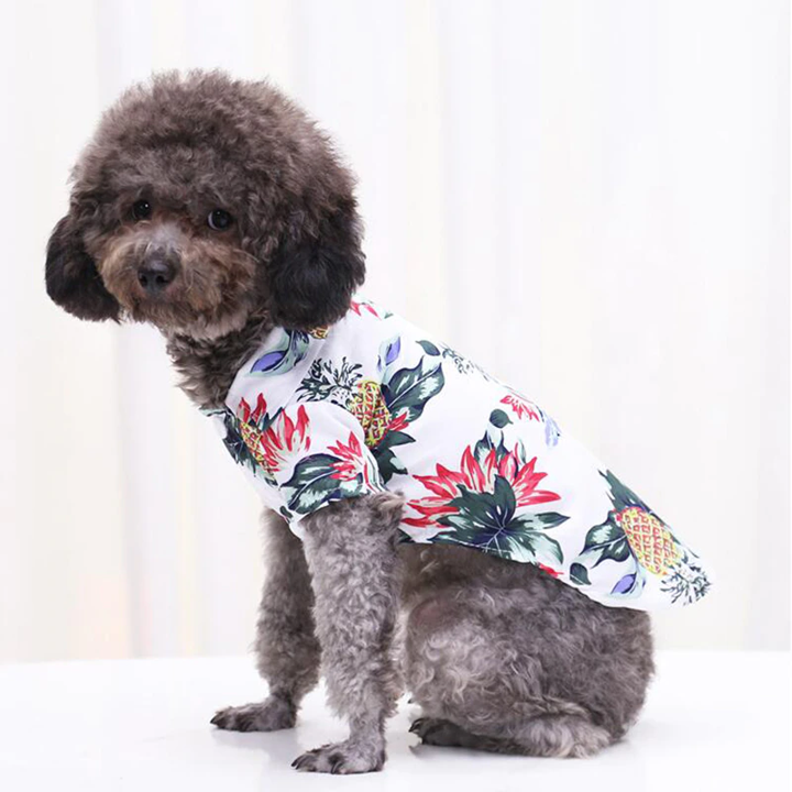 Hawaiian Pet Shirts - BIG FRENCHIES