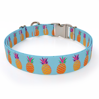 Pineapple Party Blue Dog Collar